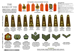 The Ranks of The British Army Second World War