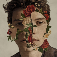 Shawn Mendes The Album 2018 Music Cover Art