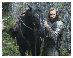 GAME OF THRONES* )) ( THE HOUND ) &quot;Rory McCann&quot;