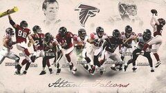 Matt Ryan - Atlanta Falcons NFL Player