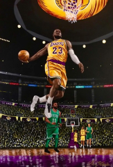 Lebron James - LBJ La Lakers NBA MVP Basketball