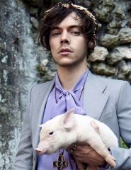 Harry Styles Gucci