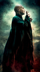 Harry Potter and the Deathly Hallows: Part 2 2011 movie