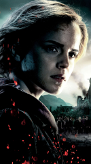 Harry Potter and the Deathly Hallows: Part 2 2011 movie