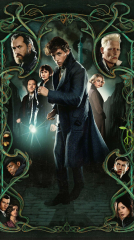 Fantastic Beasts: The Crimes of Grindelwald 2018 movie