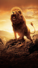 The Chronicles of Narnia: The Lion, the Witch and the Wardrobe 2005 movie