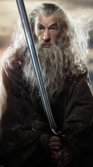The Hobbit: The Desolation of Smaug 2013 movie