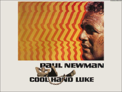 Cool Hand Luke (Cool Hand Luke Paul Newman 1967. Movie Master) (Pop Culture Graphics Movaf8157 Cool Hand Luke Movie )