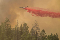 Park fire: Biggest active wildfire in the US burns out of control ...