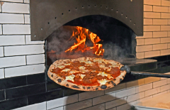 Napoli120 Commercial Pizza Oven 48 Wood Or Gas