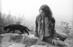 Neil Young (Henry Diltz)