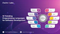 10 Trending Programming Languages for Software Development