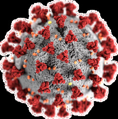 Corona Virus Graphical Representation