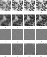 DL-EDOF: Novel Multi-Focus Data Set and Deep Learning-Based ...