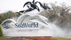 United Parks & Resorts (SeaWorld Orlando)