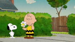 Charlie Brown (The Snoopy Show)