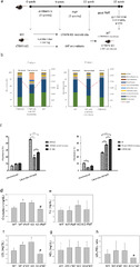 Fecal microbiota transplantation ameliorates atherosclerosis in ...