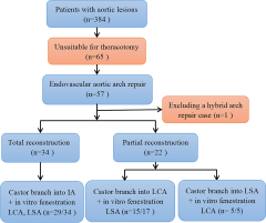 Endovascular repair of aortic pathologies involving the aortic arch ...