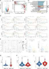 Leveraging circulating microbiome signatures to predict tumor ...