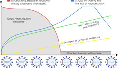 SARS-CoV-2 journey: from alpha variant to omicron and its sub ...