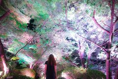 A Forest Where Gods Live - TeamLab