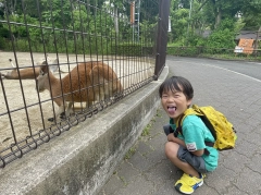 土岐市 動物園 - Lemon8検索