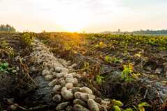 Turning the Tide: Prioritising Regenerative Agriculture to secure ...