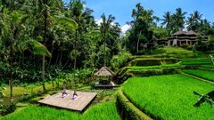 Ubud Rice Terrace