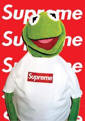 Kermit the Frog (Supreme Kermit The Frog Box Logo Sticker Set)