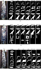 Hyperspectral imaging and convolutional neural networks for ...