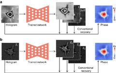 On the use of deep learning for phase recovery | Light: Science ...