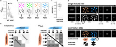 Task state representations in vmPFC mediate relevant and ...