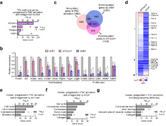 Inhibiting stromal Class I HDACs curbs pancreatic cancer ...