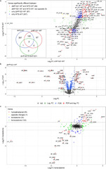 Profiling of the Helicobacter pylori redox switch HP1021 regulon ...