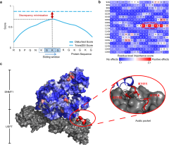 A protein sequence-based deep transfer learning framework for ...