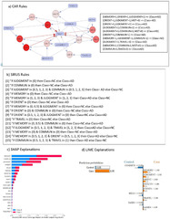 An explainable machine learning approach for Alzheimer's disease ...