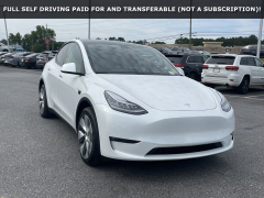 Tesla (2021 Tesla Model Y Long Range)