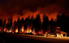 Photos of the Park Fire, California's largest wildfire this season ...