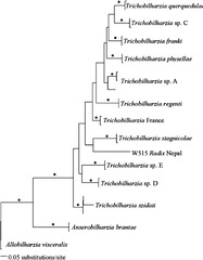 SCHISTOSOMES OF NEPAL | Semantic Scholar