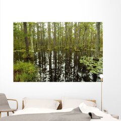 Amazon: Wallmonkeys Blackwater Swamp Cypress Trees ...