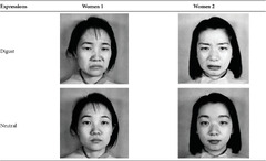 PDF] Micro-Facial Expression Recognition Based on Deep-Rooted ...