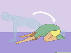 4 Ways to Perform the Plank Exercise - wikiHow Fitness