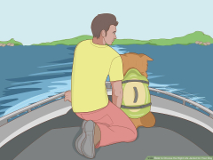 3 Ways to Choose the Right Life Jacket for Your Dog - wikiHow Pet