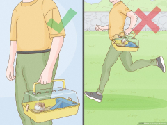 3 Ways to Carry a Hamster - wikiHow Pet