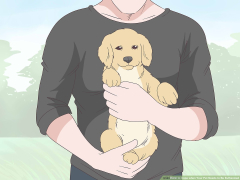 3 Ways to Cope when Your Pet Needs to Be Euthanized - wikiHow Pet