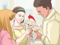 3 Ways to Survive the Holidays with Your Dog - wikiHow Pet