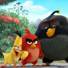 Angry Birds Movie (Angry Birds)