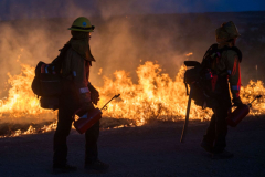 California wildfire: Arson-sparked Park Fire is now California's ...