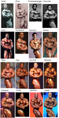 Evolution of Bodybuilding | Bodybuilding, Bodybuilders, Evolution