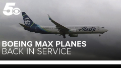 Alaska (Alaska Airlines Boeing 737-890)